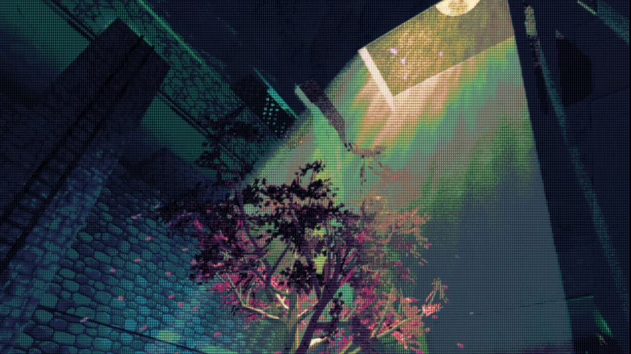 Climbing a stone wall above a blossoming tree, sunlight falling through